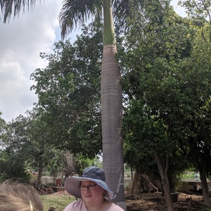 IMG_20190707_144628.jpg